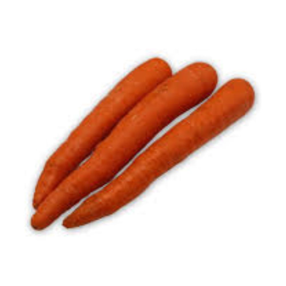Jumbo Carrot