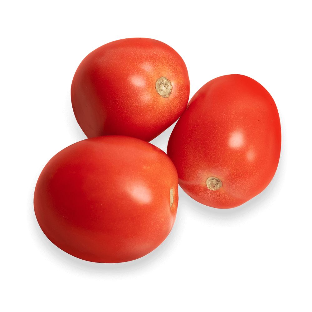 Tomato