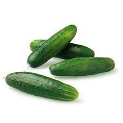Field Cucumber