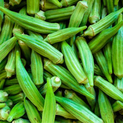 Bhindi