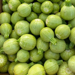 Tinda BC